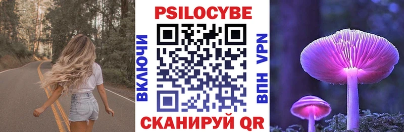 что такое наркотик  Буинск  Галлюциногенные грибы Psilocybe 